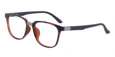 Bernard Geometric